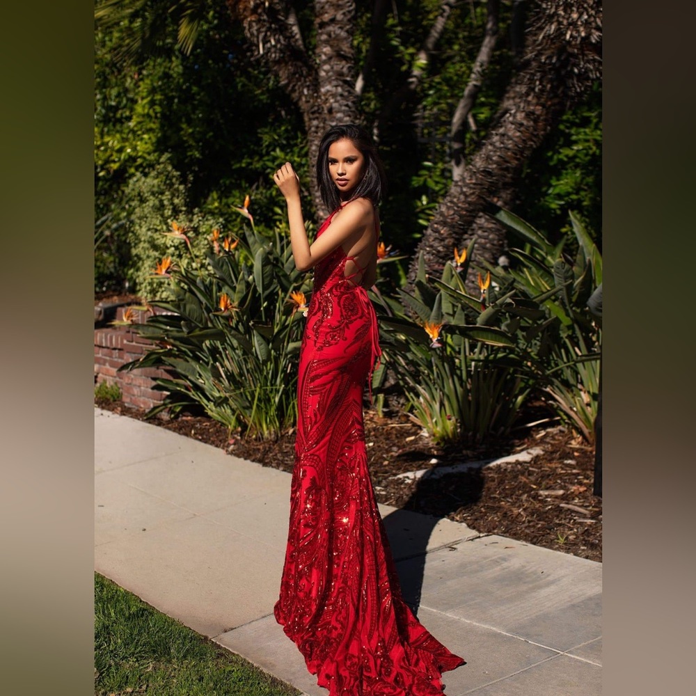Prom Dress - Picture 4 of 4